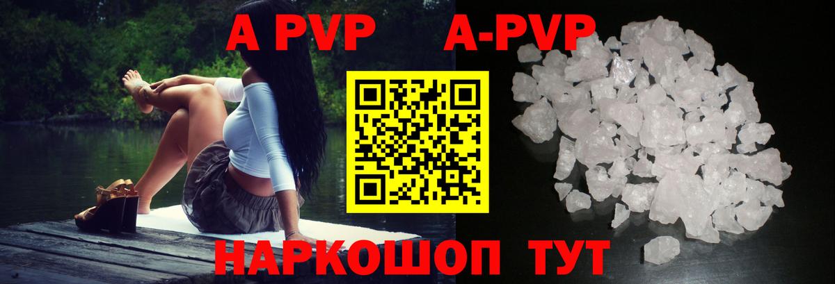 Alfa_PVP СК Бердск