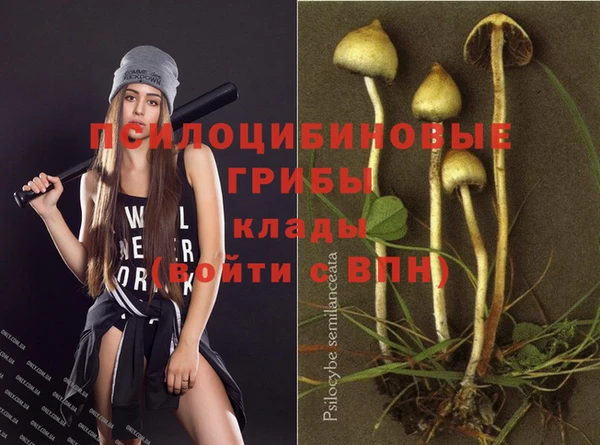 хмурый Нефтекумск