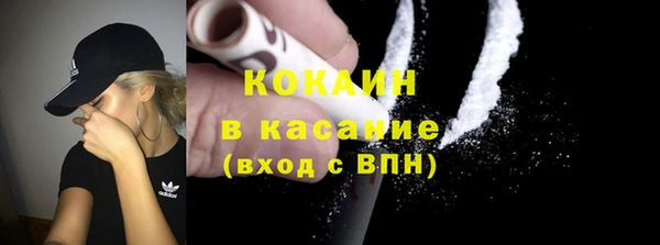 шишки Алагир