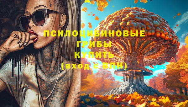 хмурый Нефтекумск
