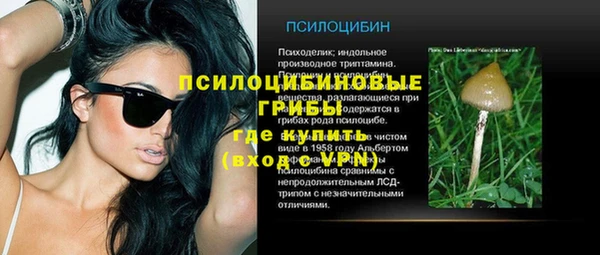 прущий лед Нея