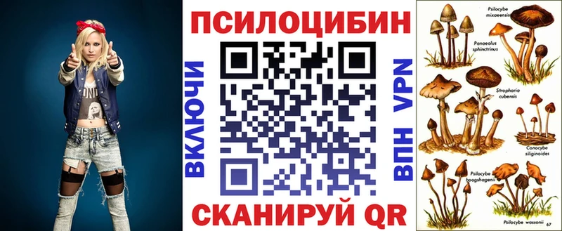 мориарти как зайти  Бердск  Псилоцибиновые грибы Psilocybine cubensis  сколько стоит 