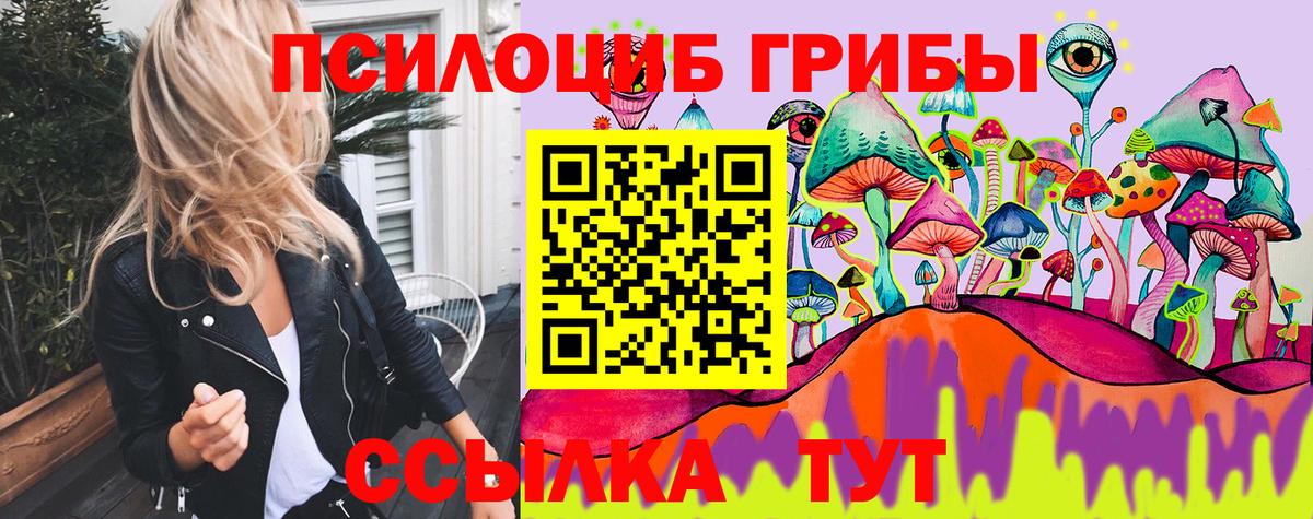 Бердск  Псилоцибиновые грибы Psilocybine cubensis  Вход с VPN  Галлюциногенные грибы ЛСД 
