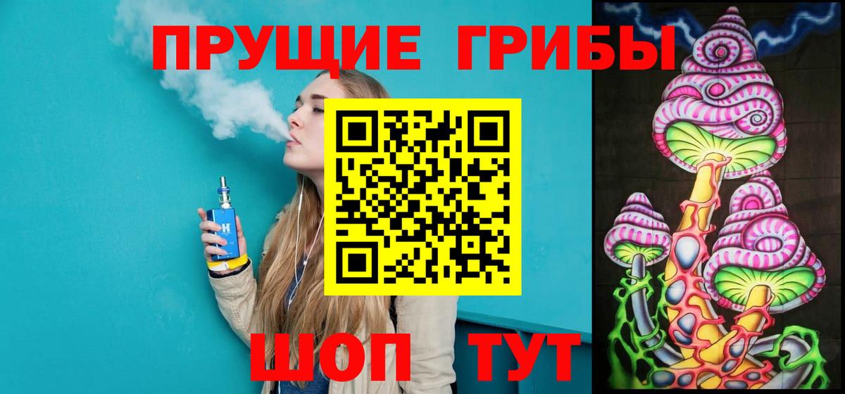 Галлюциногенные грибы Psilocybe  Бердск 