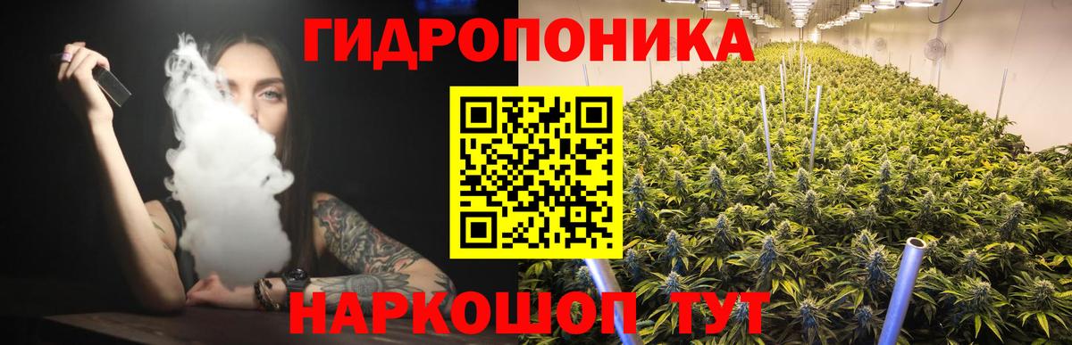 Бошки Шишки MAZAR Бердск